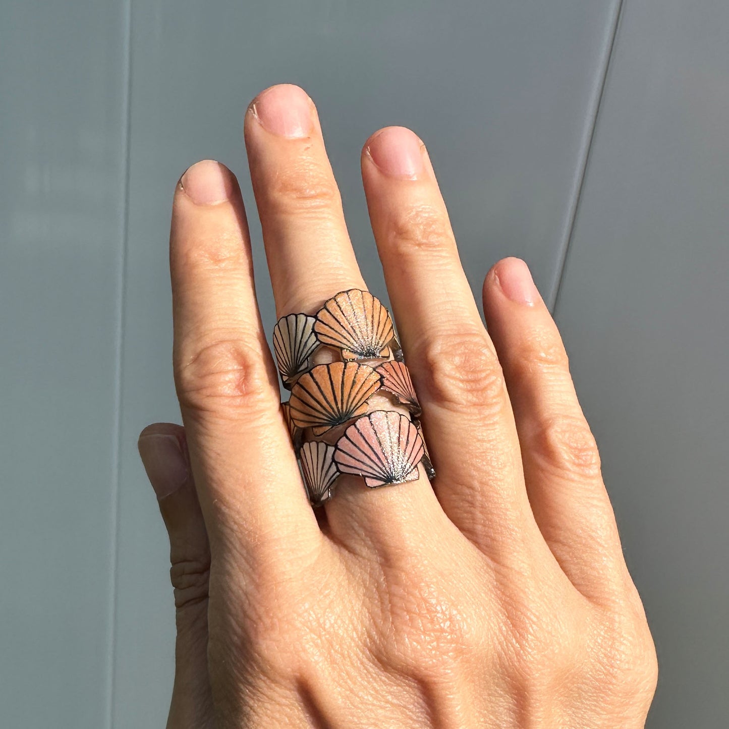 Tidal Collection: The Scallop