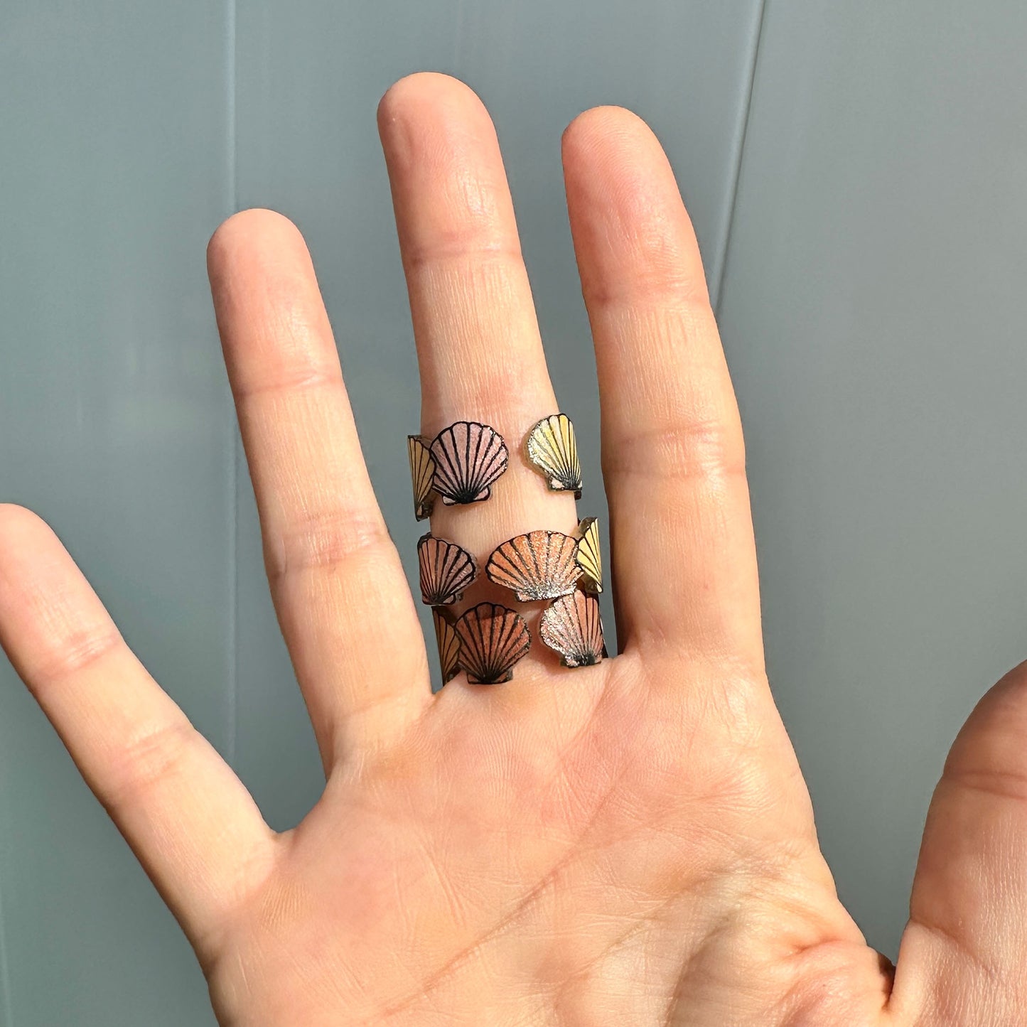 Tidal Collection: The Scallop
