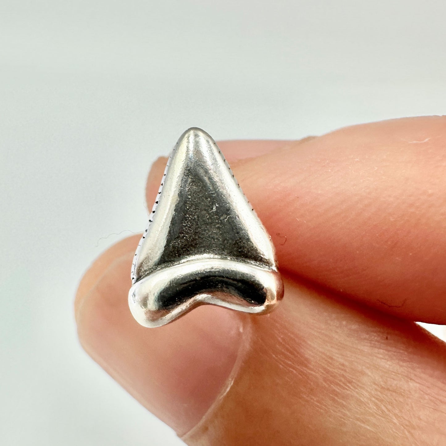 Sterling Silver Shark Tooth Posts