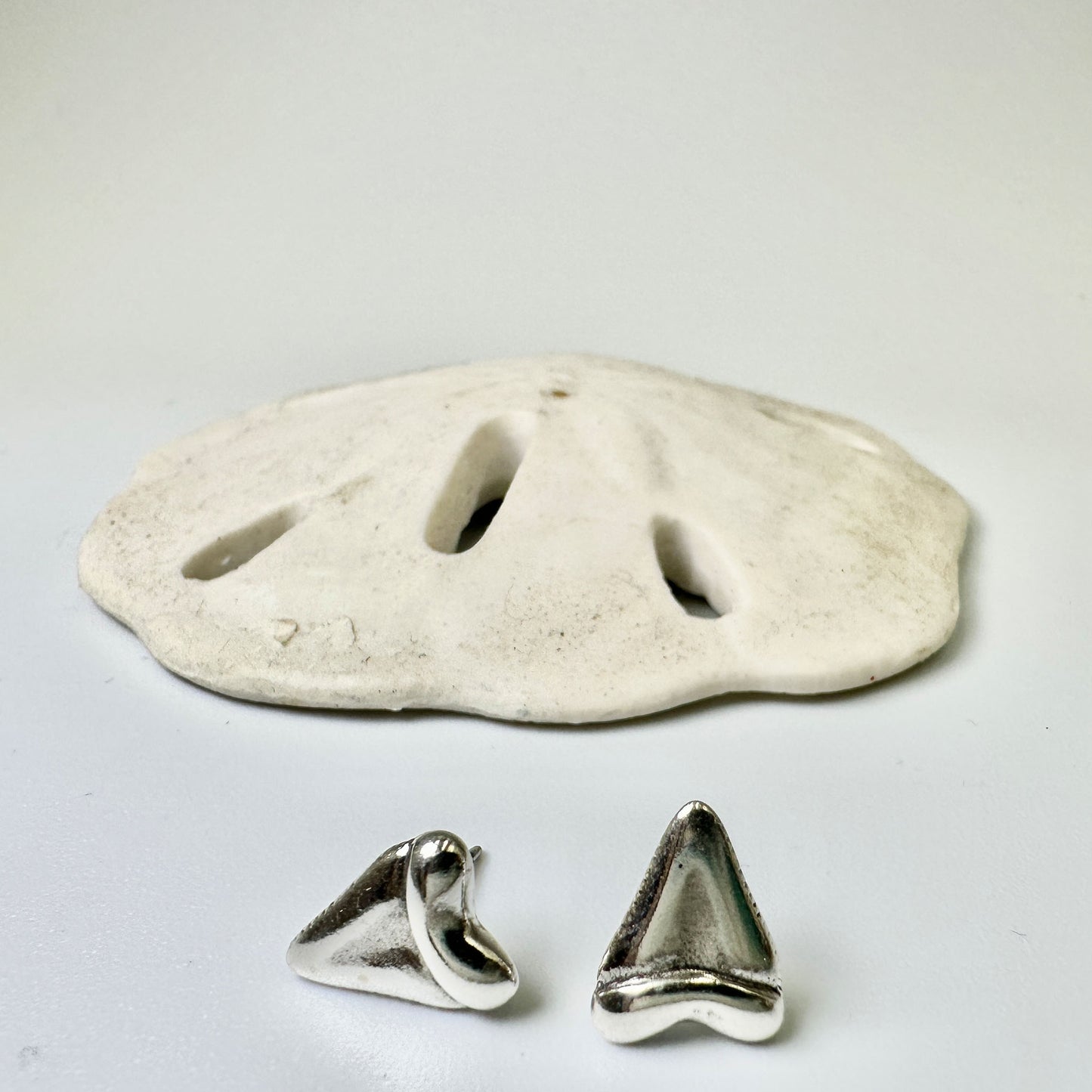 Sterling Silver Shark Tooth Posts